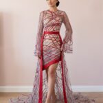 Crimson Glamour Embellished Party Dress